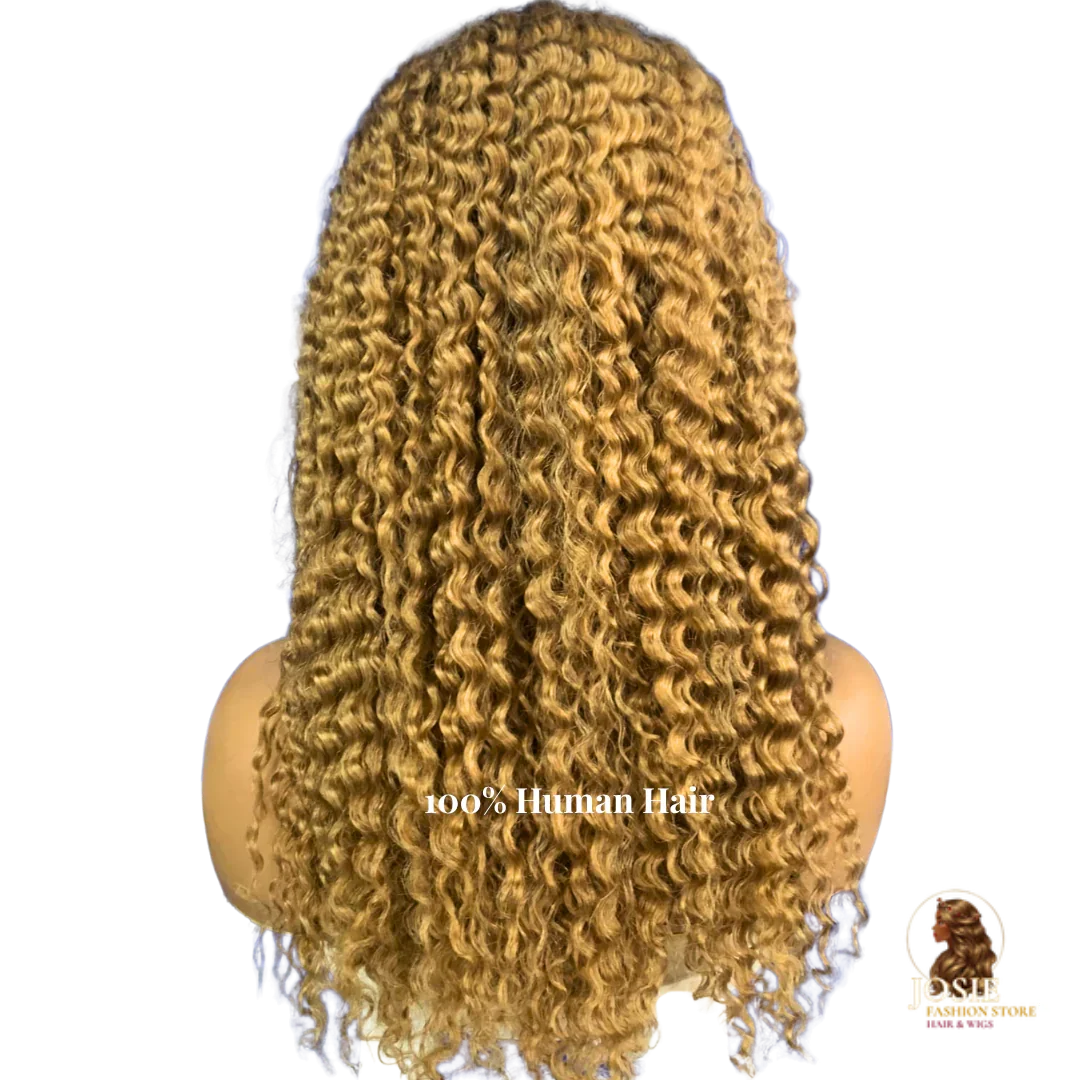 Jerry curly lace front wig 20 inch honey blonde 27 front view