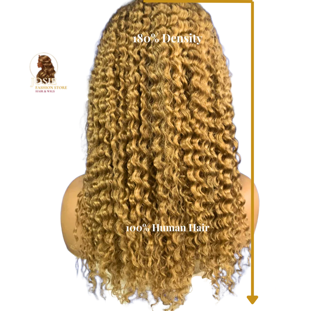Jerry curly lace front wig 20 inch honey blonde 27 front view